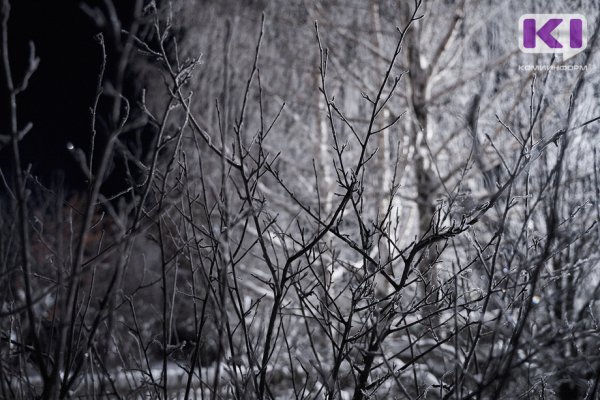 В Сыктывкаре обнаружено вмерзшее в снег тело человека