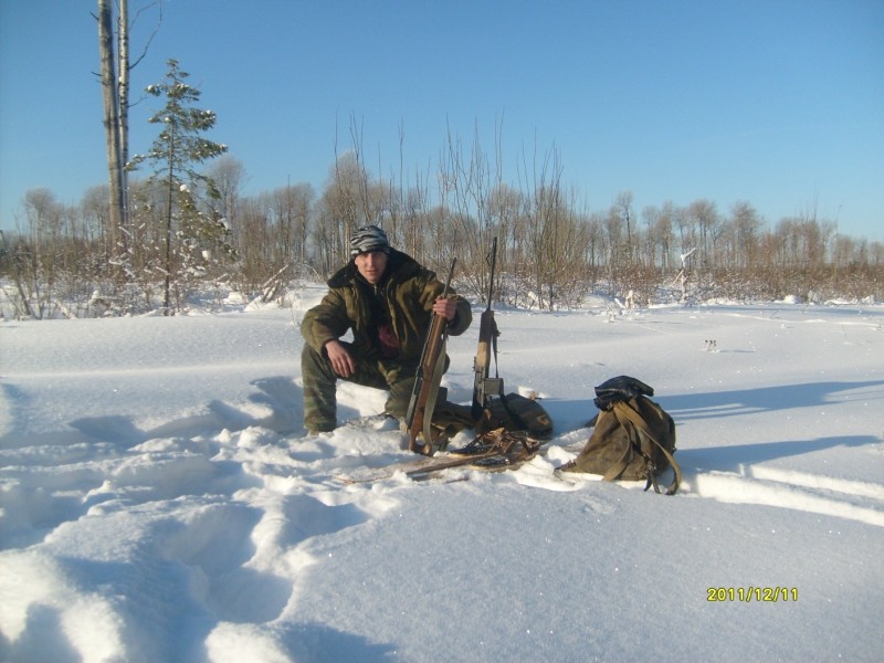 Прилузье и Троицко-Печорск закрыли официальный сезон охоты на волков внушительными цифрами 