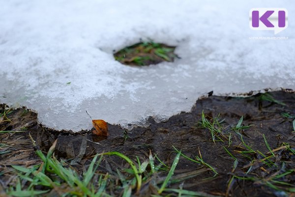 Прогноз погоды в Коми на 6 апреля: на севере туман, днем -1...-6°С 