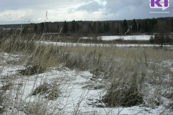 В Коми объявлено штормовое предупреждение