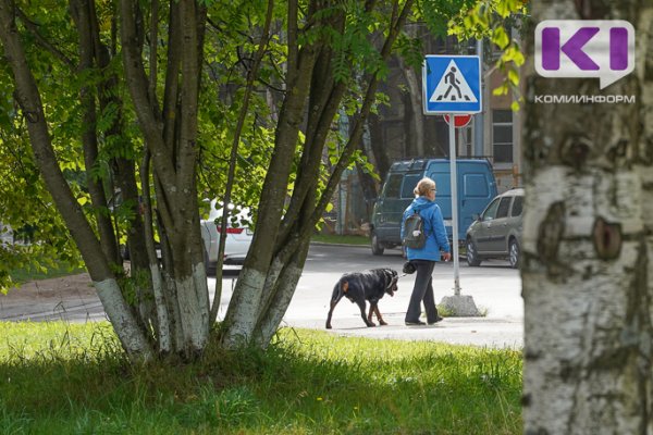 Кинолог из Сыктывкара высказался за самые жесткие меры в отношении нерадивых владельцев собак 