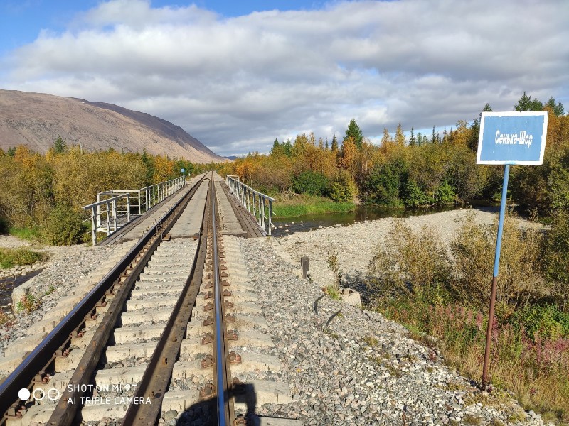 Туристы из Коми присоединились к петиции из-за отмены остановок поезда "Воркута - Лабытнанги"