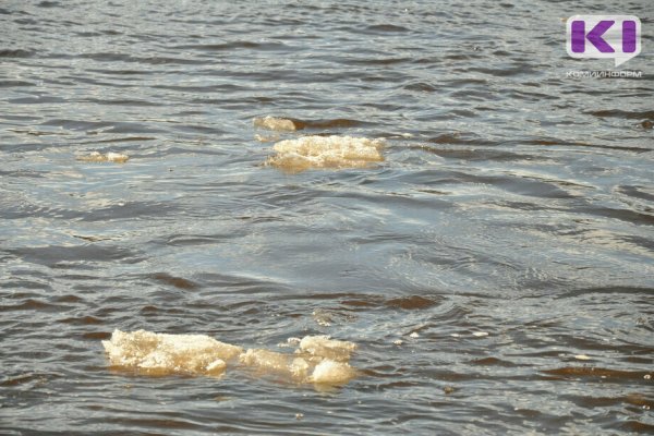 В Коми на реке Ухта спасли 18-летнюю тонущую девушку 
