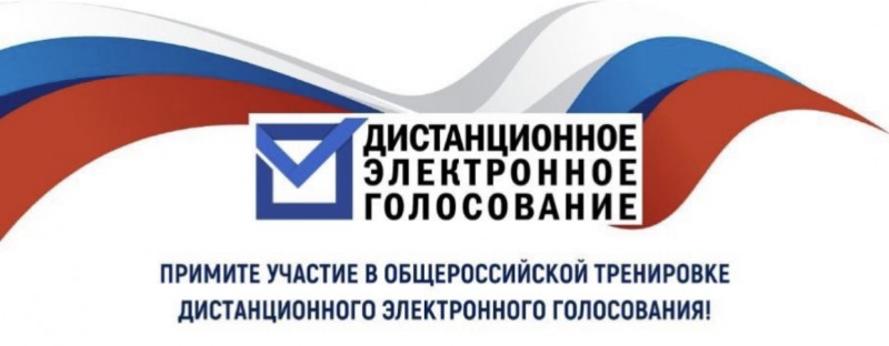 Республика Коми участвует в дистанционном электронном голосовании