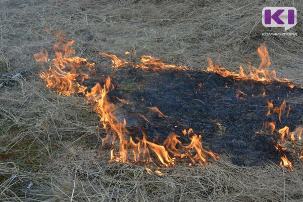 В трех районах Коми пожарные боролись с возгоранием сухой травы