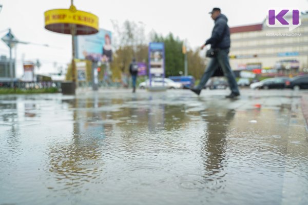 Прогноз погоды в Коми на 25 апреля: дождливо и прохладно