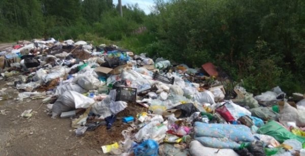 Дачные сообщества Коми не спешат заключать договоры на вывоз отходов