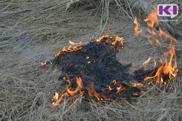 В Коми пожарные вновь тушили горящую траву