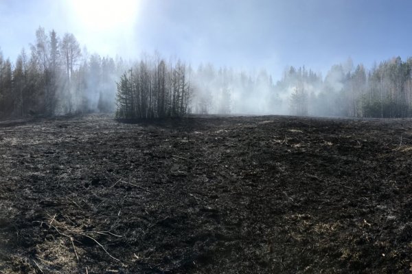 В Ухте локализовали лесной пожар рядом с Успенским кладбищем