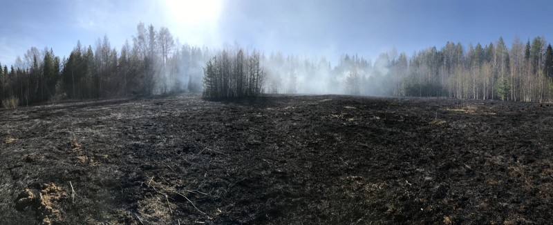 В Ухте локализовали лесной пожар рядом с Успенским кладбищем