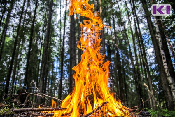 В Койгородском районе ожидается установление чрезвычайно высокой пожароопасности
