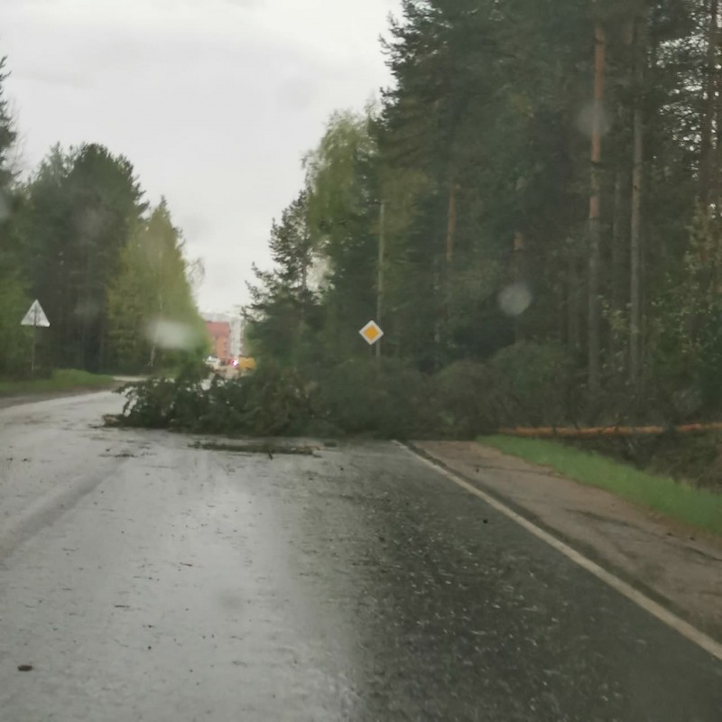 Ураган в Ухте и Сосногорске: повалены деревья, сорваны крыши, разбиты машины