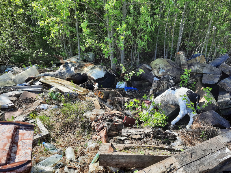 Администрация Усть-Вымского района выясняет, кто организовал "кладбище животных" в Микуне