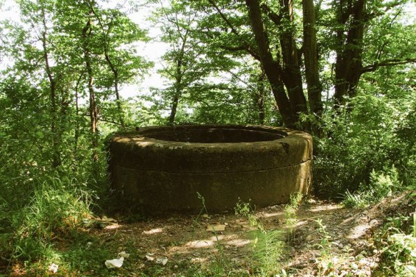 Ухтинские спасатели достали из коллектора в лесополосе сотрудника 