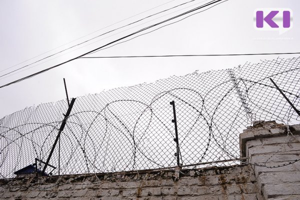 Педофила из Инты приговорили к длительному лишению свободы