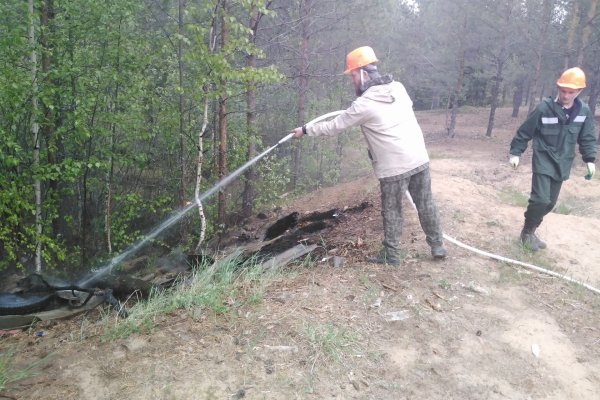 Сотрудники нацпарков в Коми научились тушить пожар