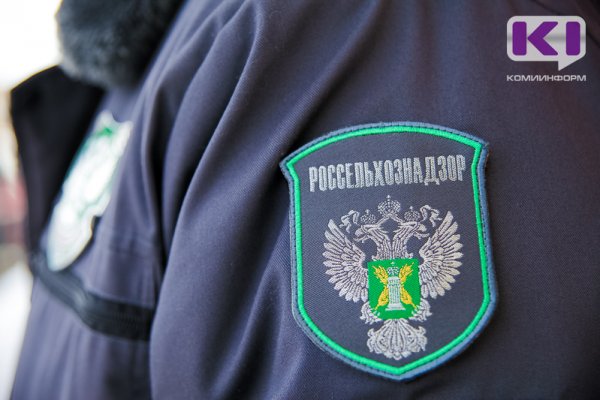 В школе и детском саду Сосногорска выявили подозрительные крупы