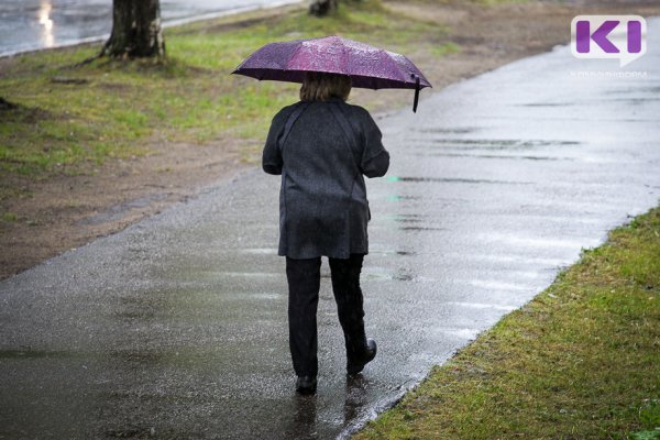 Прогноз погоды в Коми на 30 мая: прохладно, местами дожди