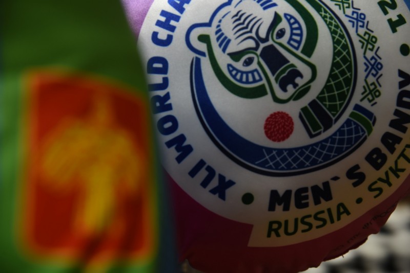 В Коми продолжается набор волонтеров на Чемпионат мира по бенди