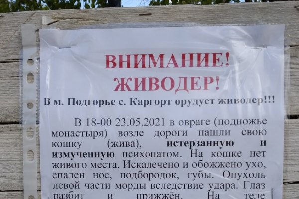 В сыктывдинском Каргорте разыскивают живодера