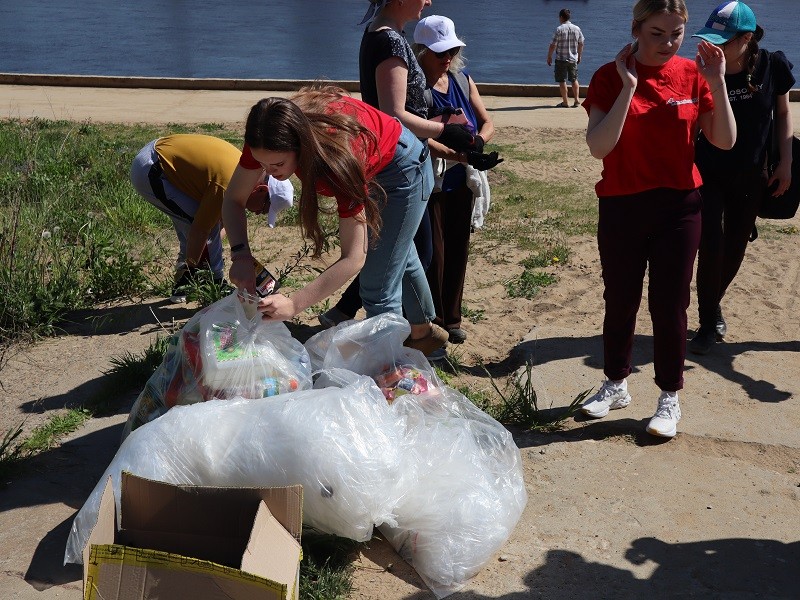 ОНФ в Коми отметил День эколога субботником на берегу реки Сысола в Сыктывкаре

