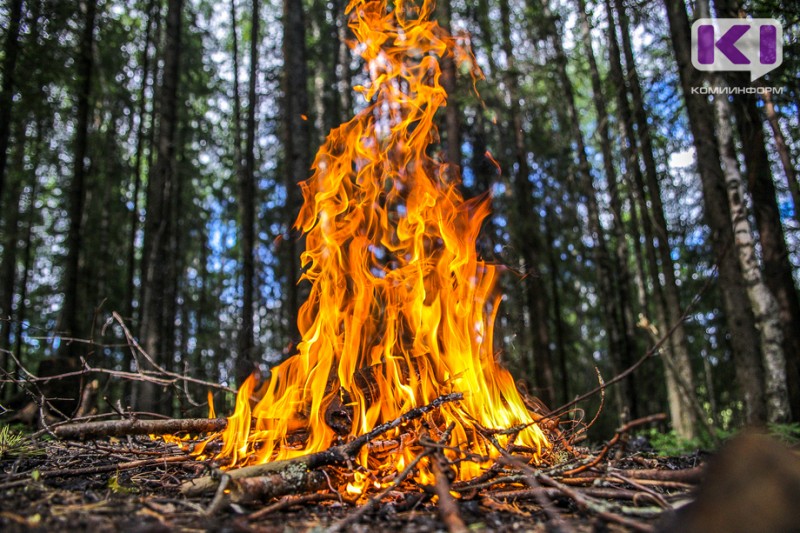 В Усть-Куломском и Княжпогостском районах по вине жителей загорелся лес  