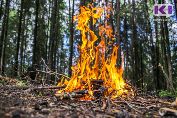Лесной пожар в Княжпогостском районе локализован и практически ликвидирован