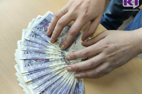 Полицейские Сыктывкара задержали подозреваемого в краже валюты