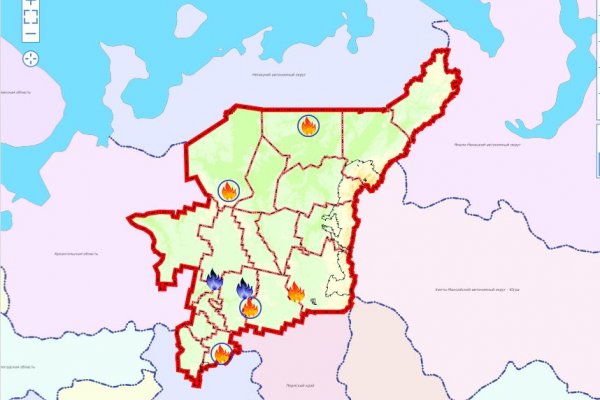 Гроза стала причиной лесных пожаров в четырех районах Коми 