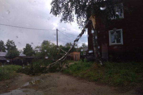 Ураган в Прилузье: повалены деревья, снесены крыши, пропал свет