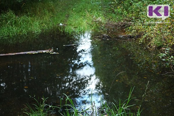 В Прилузье молодая женщина заплутала на болоте, утопила обувь, но смогла выйти к людям