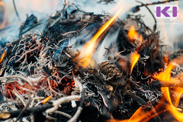 На территории Троицко-Печорского района одновременно бушуют четыре лесных пожара