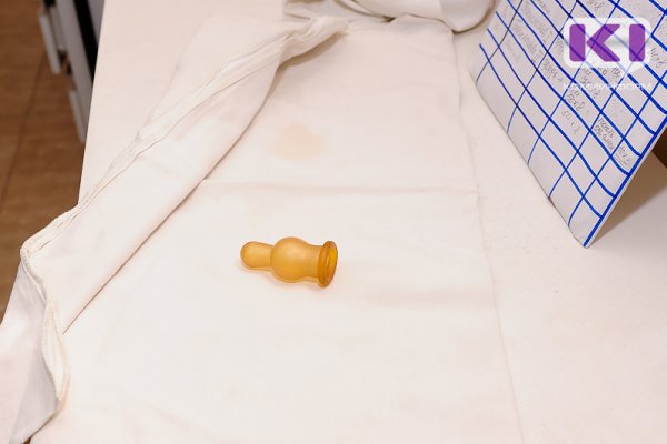 В Коми суррогатная мать отказалась отдавать двух рожденных девочек биологическому отцу из Австрии