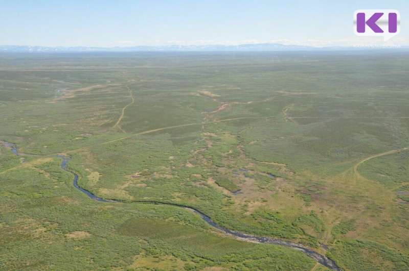 Госсовет Коми определил, какие территории можно отдать под "арктические гектары"