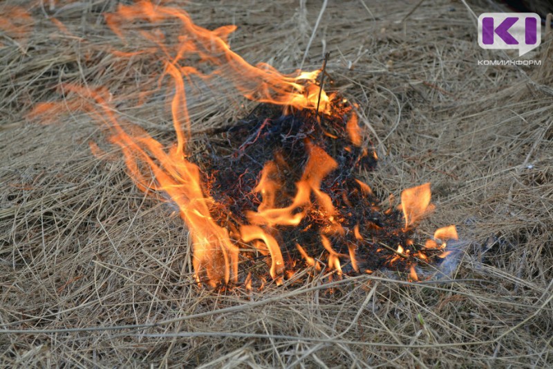 В Коми за сутки обнаружили пять лесных пожаров