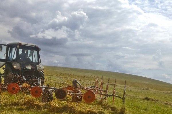 Низкая урожайность сенокосных угодий отмечена в Усть-Куломском районе 