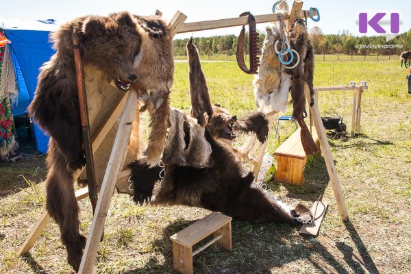 В Коми утвердили лимит добычи медведя и выдры