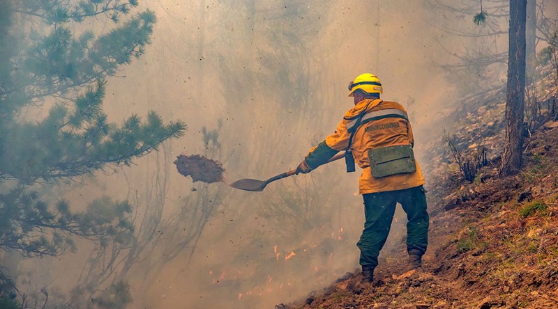 В Коми действует два лесных пожара
