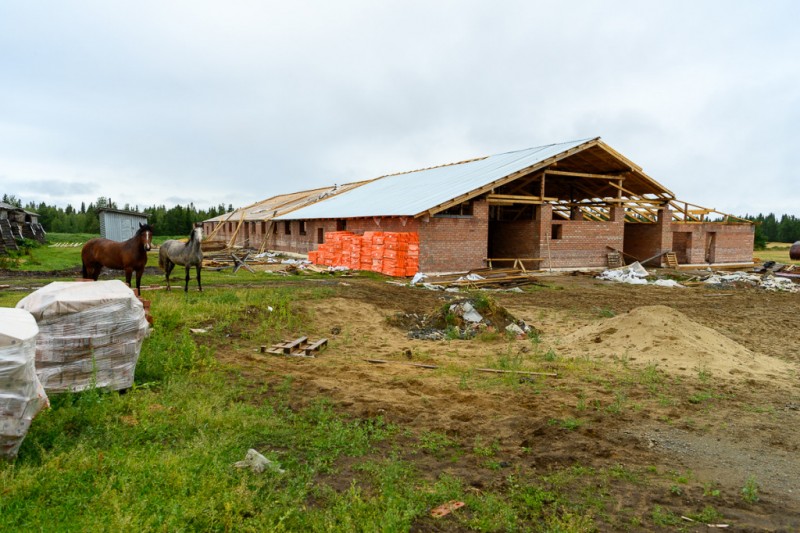 Новая ферма в Усть-Цилемском районе появится в октябре