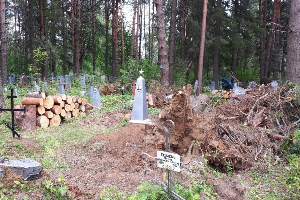 Жителей Сысольского района призвали на уборку кладбища и разрешили забрать спиленные деревья для растопки бань