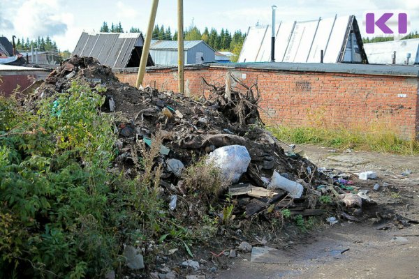 В Сыктывкаре ищут подрядчика, готового за 600 тыс. рублей расчистить городские земли от мусора