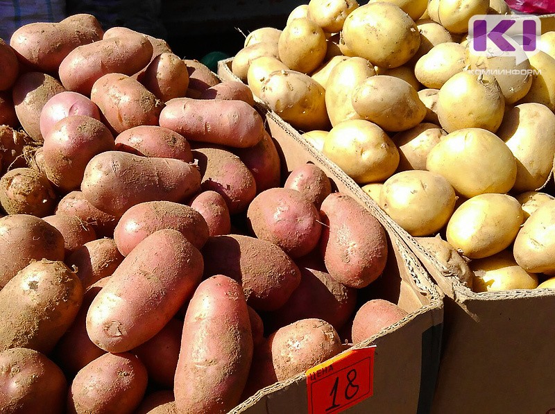 Как выбрать безопасный и вкусный картофель