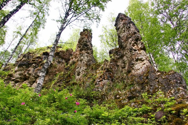 В Коми обновлены положения особо охраняемых природных территорий Ухтинского района