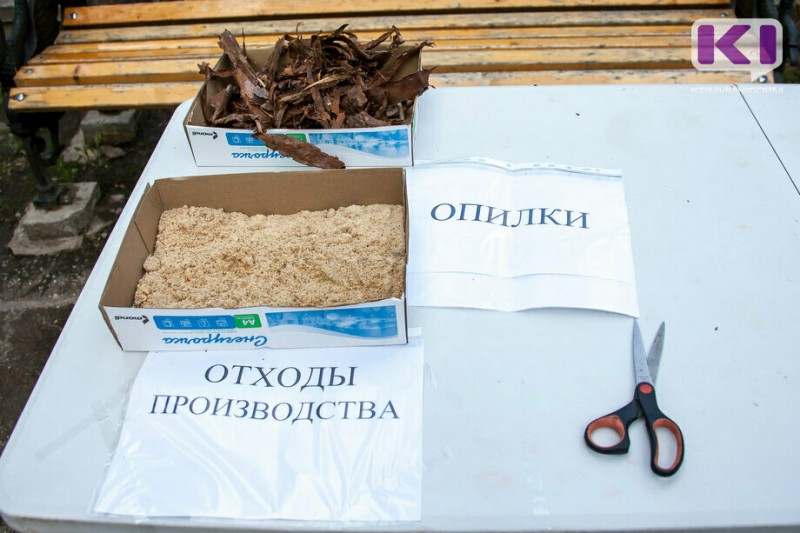 Житель Усть-Куломского района выбросил в лесу опилки и получил штраф в 100 тысяч 