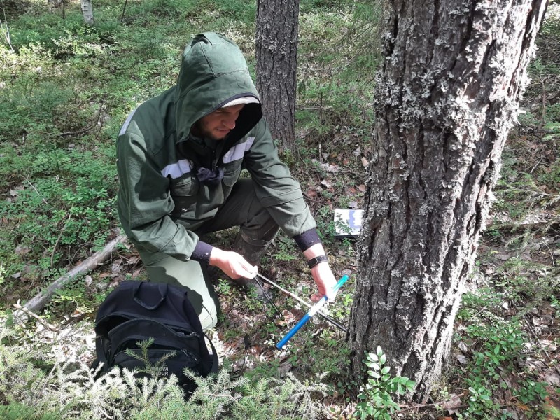 Жешартский ЛПК сохранит грибные делянки для жителей Мадмаса
