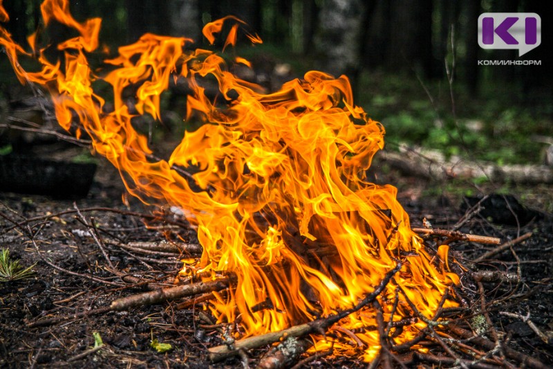 В Коми выявлено три новых лесных пожара