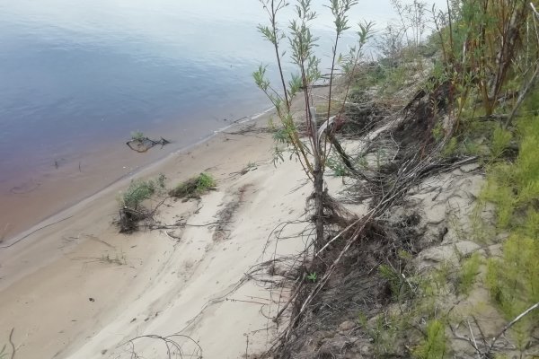 Всероссийское общество охраны природы не обнаружило следов нефти в реках Колва и Печора


