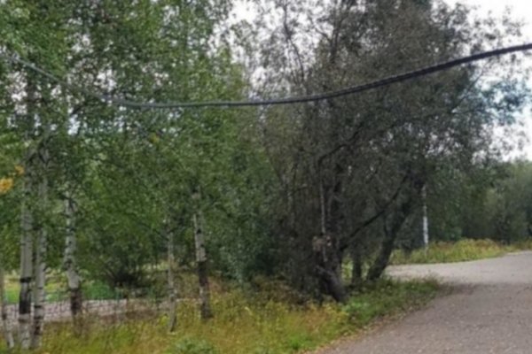Решаем вместе: в интинском парке убрали над тротуаром опасный кабель