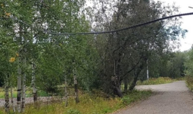 Решаем вместе: в интинском парке убрали над тротуаром опасный кабель