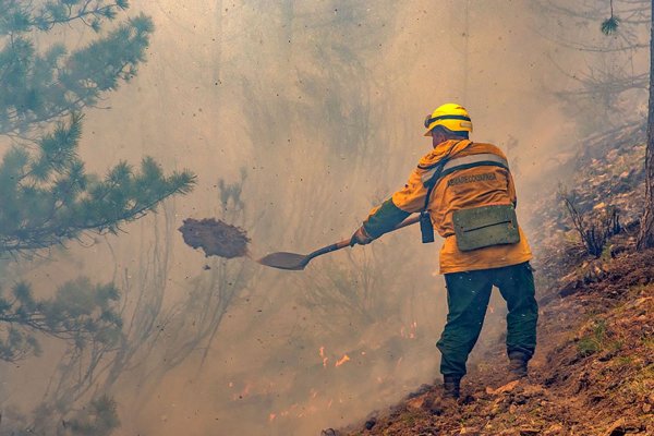 В Коми неделю борются с лесным пожаром